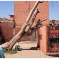 Marrakesh-13