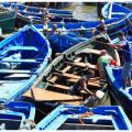 Essaouira harbor-2