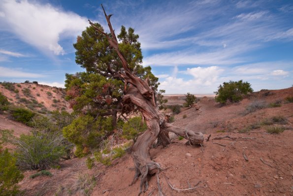 Angel Peak Badlands-1