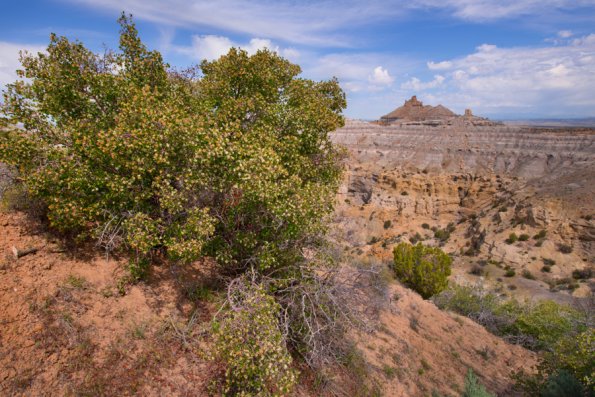 Angel Peak Badlands-3