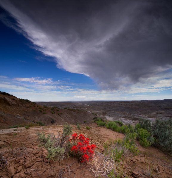Angel Peak Badlands-6