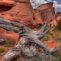 Arches National Park-4