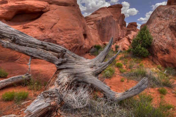 Arches National Park-4
