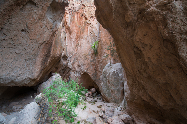 Bandelier-5