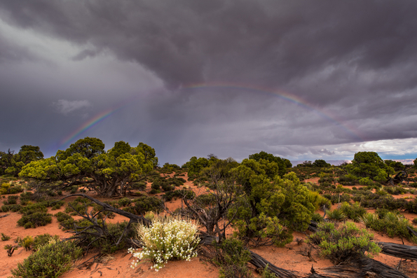 Canyonlands National Park-12