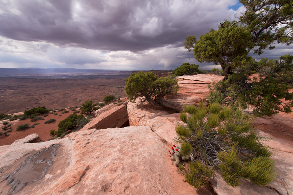Canyonlands National Park-16