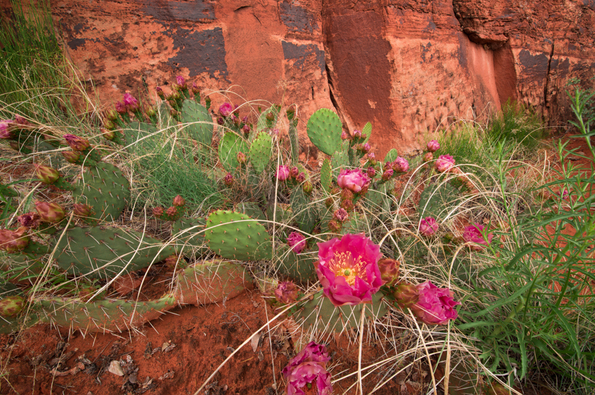 Canyonlands National Park-17