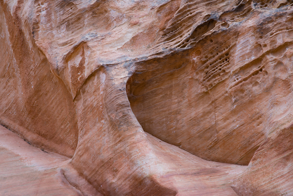 Capitol Reef National Park-16