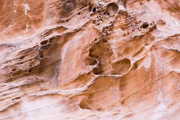 Capitol Reef National Park-8