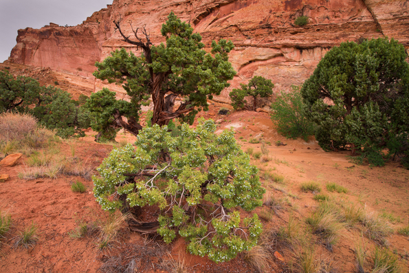 Goblin Valley, Utah-2