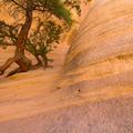 Tent Rocks, New Mexico-17