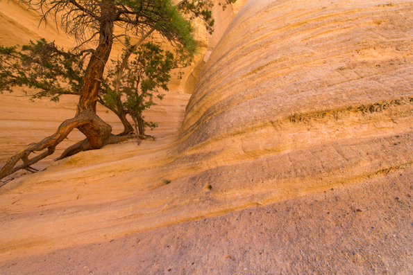 Tent Rocks, New Mexico-17