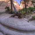 Tent Rocks, New Mexico-36