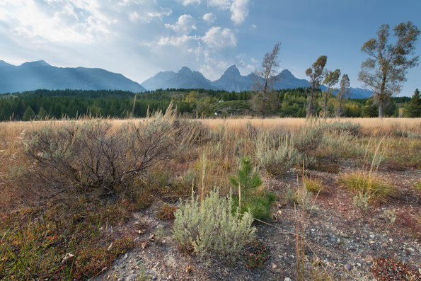 Grand Tetons National Park-15