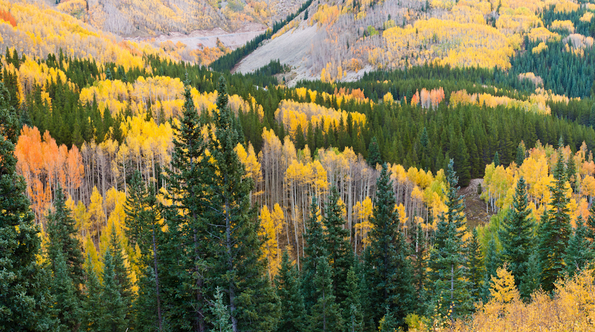 Molas Divide, Silverton, Colorado-4