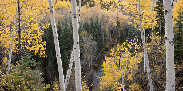 Telluride in Fall-2