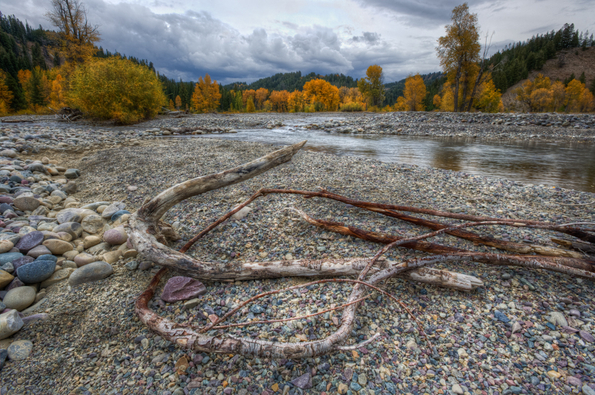 Grand Tetons National Park-50