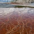 Yellowstone National Park-205
