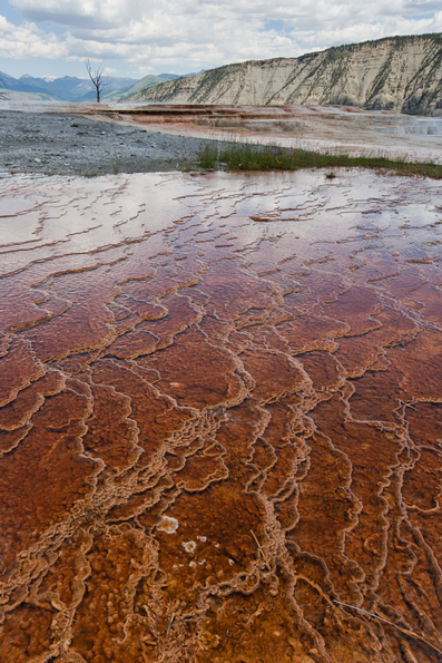 Yellowstone National Park-205