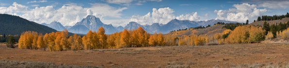 grand_tetons_fall_pan-1-8