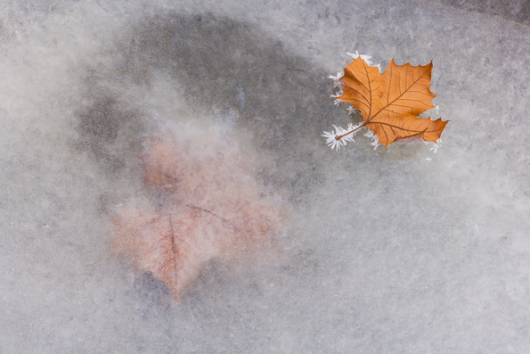 Winter's First Ice -12