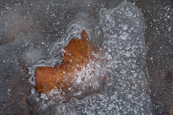 Winter's First Ice -24