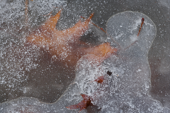 Winter's First Ice -25