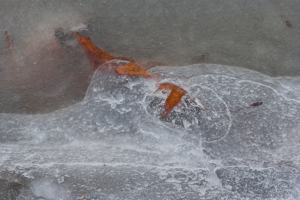 Winter's First Ice -26