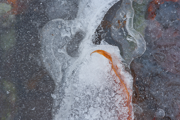 Winter's First Ice -29