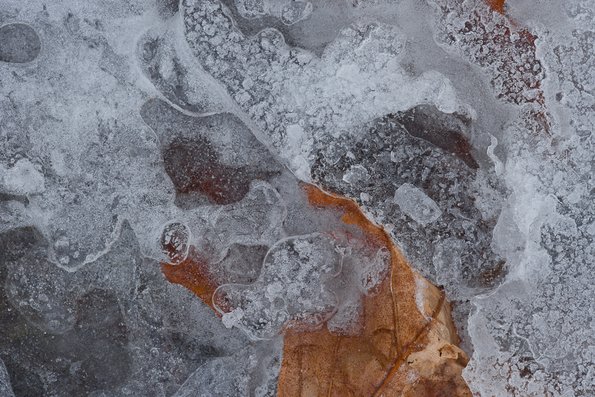 Winter's First Ice -33