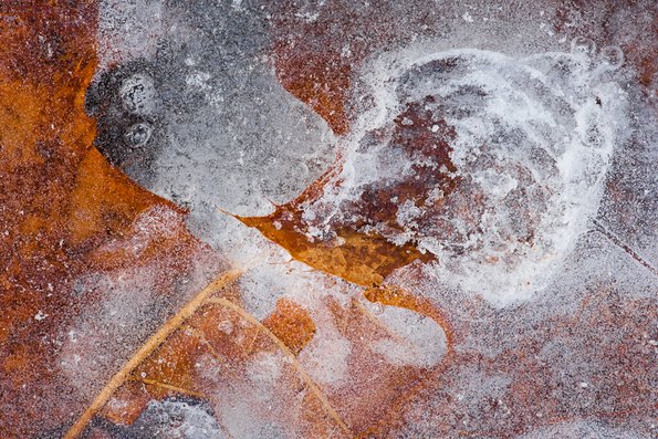 Winter's First Ice -34