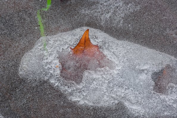 Winter's First Ice -39