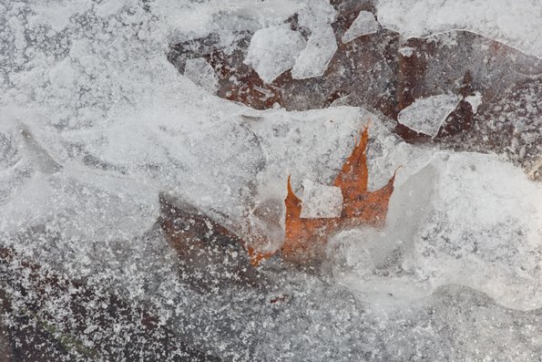 Winter's First Ice -50