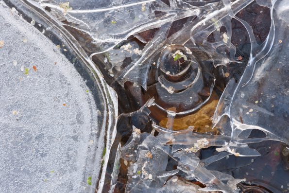 Winter's First Ice -51