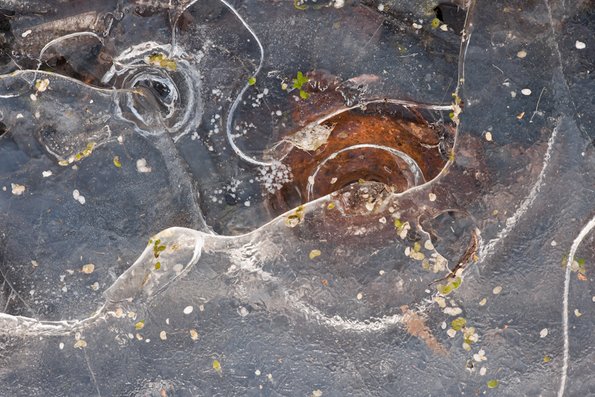 Winter's First Ice -52