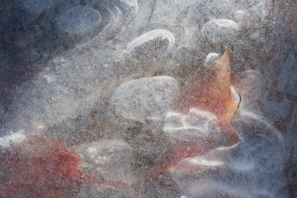 Winter's First Ice -53