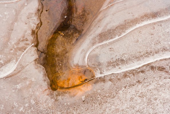 Winter's First Ice -61