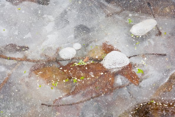 Winter's First Ice -62