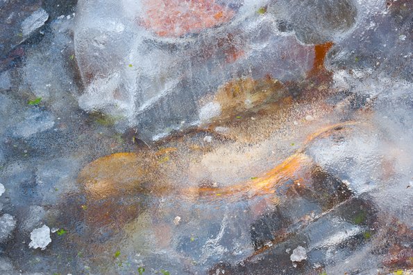 wiWinter's First Ice -66