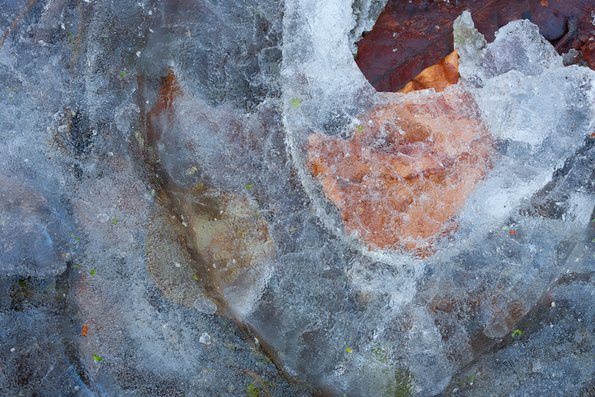 Winter's First Ice -67