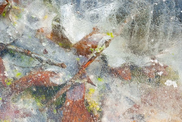 Winter's First Ice -69