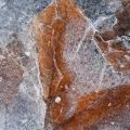 Winter's First Ice -9
