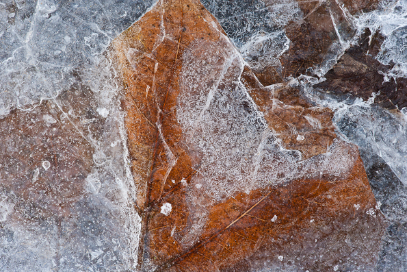 Winter's First Ice -9