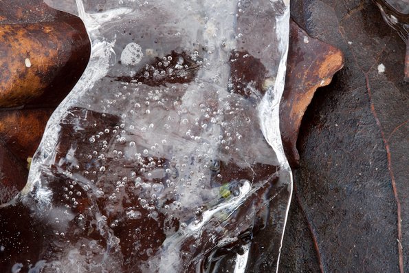 Winter's First Ice -71