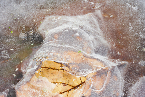 Winter's First Ice -73