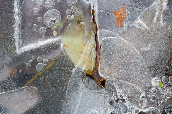 Winter's First Ice -74