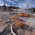 yellowstone-12