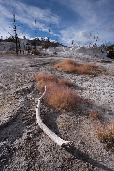 yellowstone-12