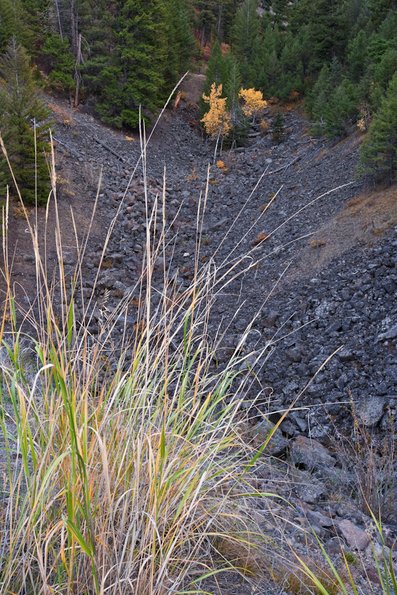 yellowstone-13