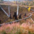 yellowstone-1